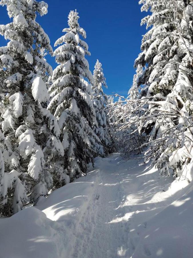 Апартаменты Rehkitz Байрсброн Экстерьер фото
